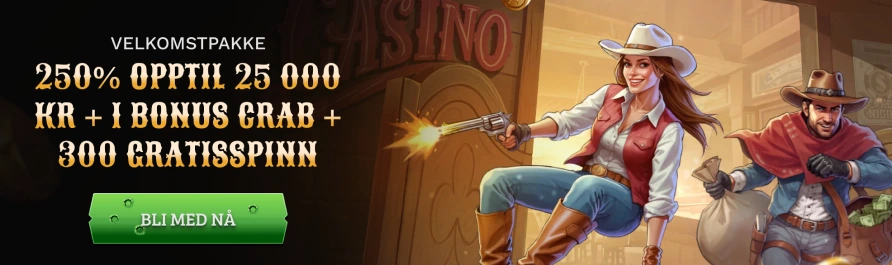 Wildsino casino